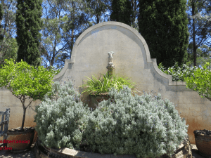 Mediterranean Garden - Fagan Park, Galston
